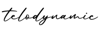 单词telodynamic书写