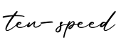 单词ten-speed书写