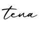 单词tena书写