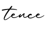 单词tence书写