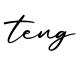 单词teng书写