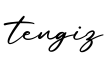 单词tengiz书写