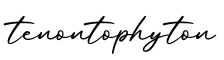 单词tenontophyton书写