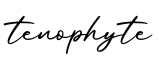 单词tenophyte书写