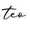 单词teo书写