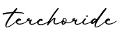 单词terchoride书写