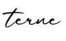 单词terne书写