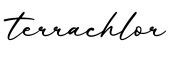 单词terrachlor书写