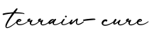 单词terrain-cure书写