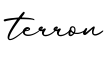 单词terron书写