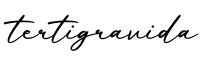 单词tertigravida书写