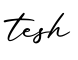 单词tesh书写