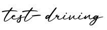 单词test-driving书写