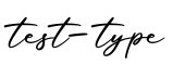 单词test-type书写