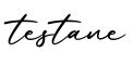 单词testane书写