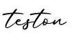 单词teston书写