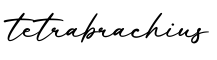 单词tetrabrachius书写