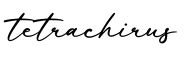 单词tetrachirus书写