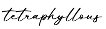 单词tetraphyllous书写