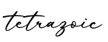 单词tetrazoic书写