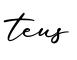 单词teus书写