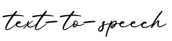 单词text-to-speech书写