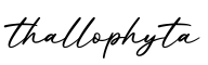 单词thallophyta书写