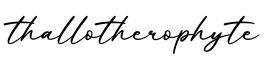 单词thallotherophyte书写