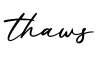 单词thaws书写