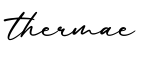单词thermae书写