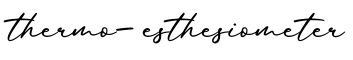 单词thermo-esthesiometer书写