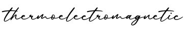 单词thermoelectromagnetic书写