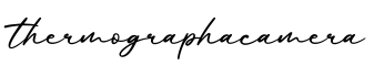 单词thermographacamera书写