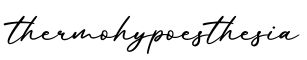单词thermohypoesthesia书写