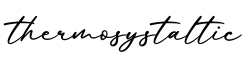 单词thermosystaltic书写