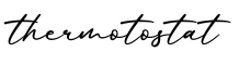 单词thermotostat书写