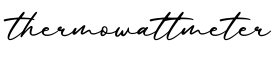 单词thermowattmeter书写