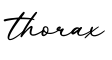 单词thorax书写