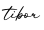 单词tibor书写