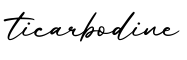 单词ticarbodine书写