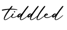 单词tiddled书写