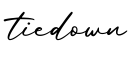 单词tiedown书写