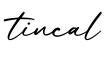 单词tincal书写