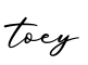 单词toey书写