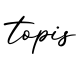 单词topis书写