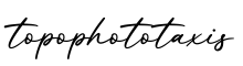 单词topophototaxis书写