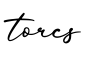 单词torcs书写