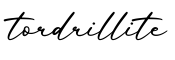 单词tordrillite书写