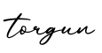 单词torgun书写