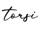 单词torsi书写